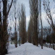 冬でも･･雰囲気はちょっと味わえます。