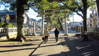 羽衣の松への松並木