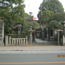 是非夫婦銀杏の大木をみてください。