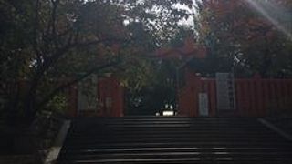 難波大社（なにわのおおやしろ）ともいうもので、地元では生玉（いくたま）さんの通称で親しまれています