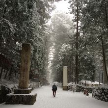 新雪を踏みしめながら歩きました