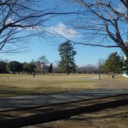 市の中心部　芝生広場を中心とした公園