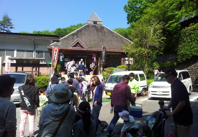 厚木のテーマパーク クチコミ人気ランキング フォートラベル 神奈川県