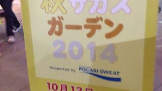 秋サカスガーデン