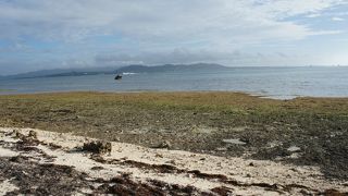 浜というより岩場で磯の生き物多い。来る人は少ない。「御獄」の先にある浜