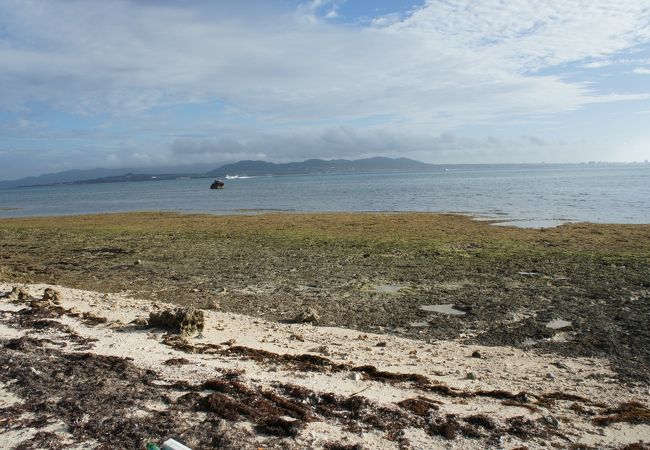 浜というより岩場で磯の生き物多い。来る人は少ない。「御獄」の先にある浜