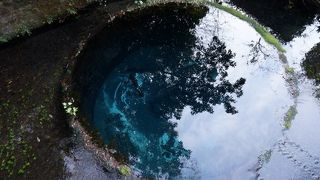 緑溢れる癒しスポット