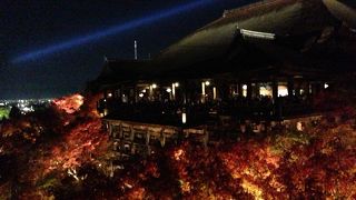 ライトアップされた清水寺