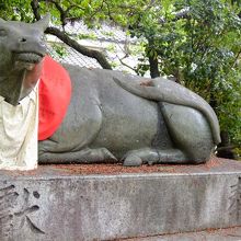 天満宮の牛