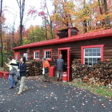 メープル小屋