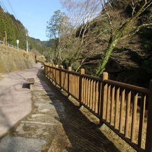 遊歩道の様子