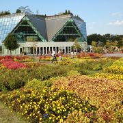 無料で楽しめる公園