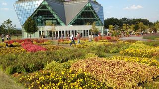 無料で楽しめる公園