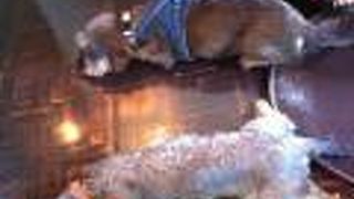 タールム 富ヶ谷店