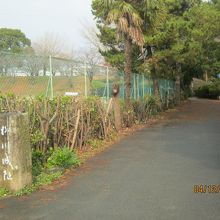 奥の小高い場所が本丸跡です。フェンスは中学校のものです。