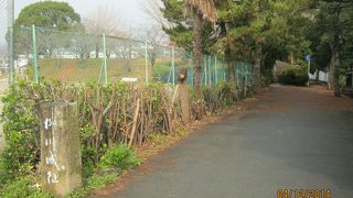 今は土塁の一部が残っているだけです。