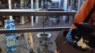 2階立てで広々のアウトレット！ペット連れ可です。