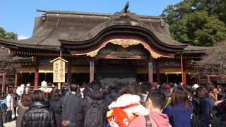 巨木が立ち並ぶ、見応えのある神社