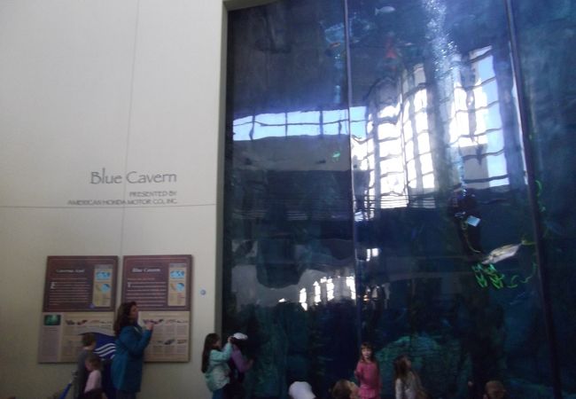 ロサンゼルス郊外の水族館