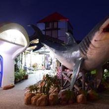 店の前のサメの像