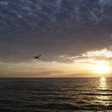 ピアから見る夕日