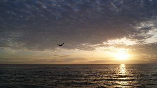 夕方は特に良かったです