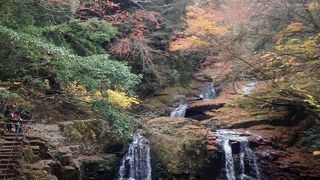 色とりどりの木々の表情を楽しめます。