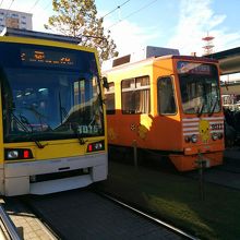 鹿児島中央駅前乗り場にて