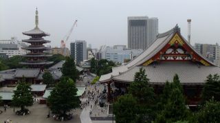 浅草寺の隣で一緒に見学