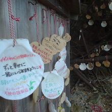 「想い」を込めて書かれた貝殻などが余島の樹木や掲示板に