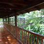 広い熱帯原生林の中に点在するロッジホテル。敷地内にホエザルや珍しい動植物が居て野性味満点！