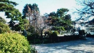 お祭りの日は混んでました