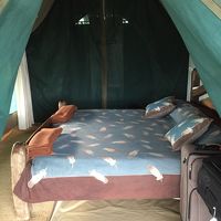 バンガローの中。ジッパーを開けたときの内装。