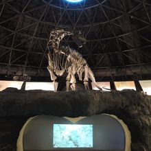 カブトガニ博物館だけど恐竜 