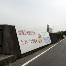 カブトガニ繁殖地