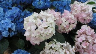 居心地が良いです