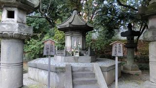 正月期間の特別公開でした