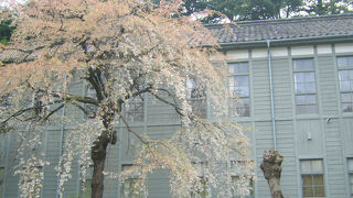 ノスタルジックな時間