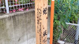 今は蛇はいません…