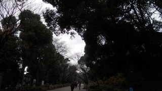 とにかく広い・・