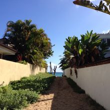 海岸に続く小道