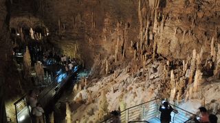 鍾乳洞内はむしむし