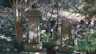 南北朝時代にこの辺りで勢力のあった三池氏の菩提寺