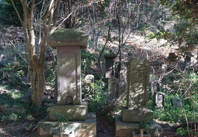 南北朝時代にこの辺りで勢力のあった三池氏の菩提寺