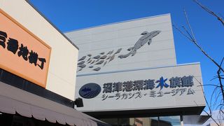 ３億５０００年前と変わらない姿で本物のシーラカンスが冷凍保存で展示されています。