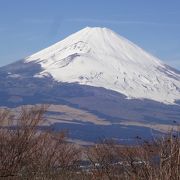 富士の裾野の広さが実感できる展望台
