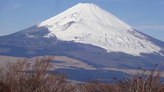 富士の裾野の広さが実感できる展望台