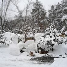 森林の中にポツンと一軒宿。看板3つ。足元は除雪されていました