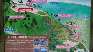 あじさいがきれかった