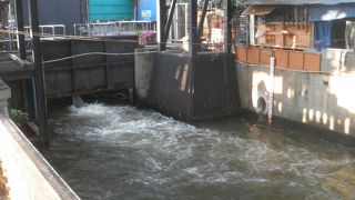 水門の周りにバンコクらしい風景